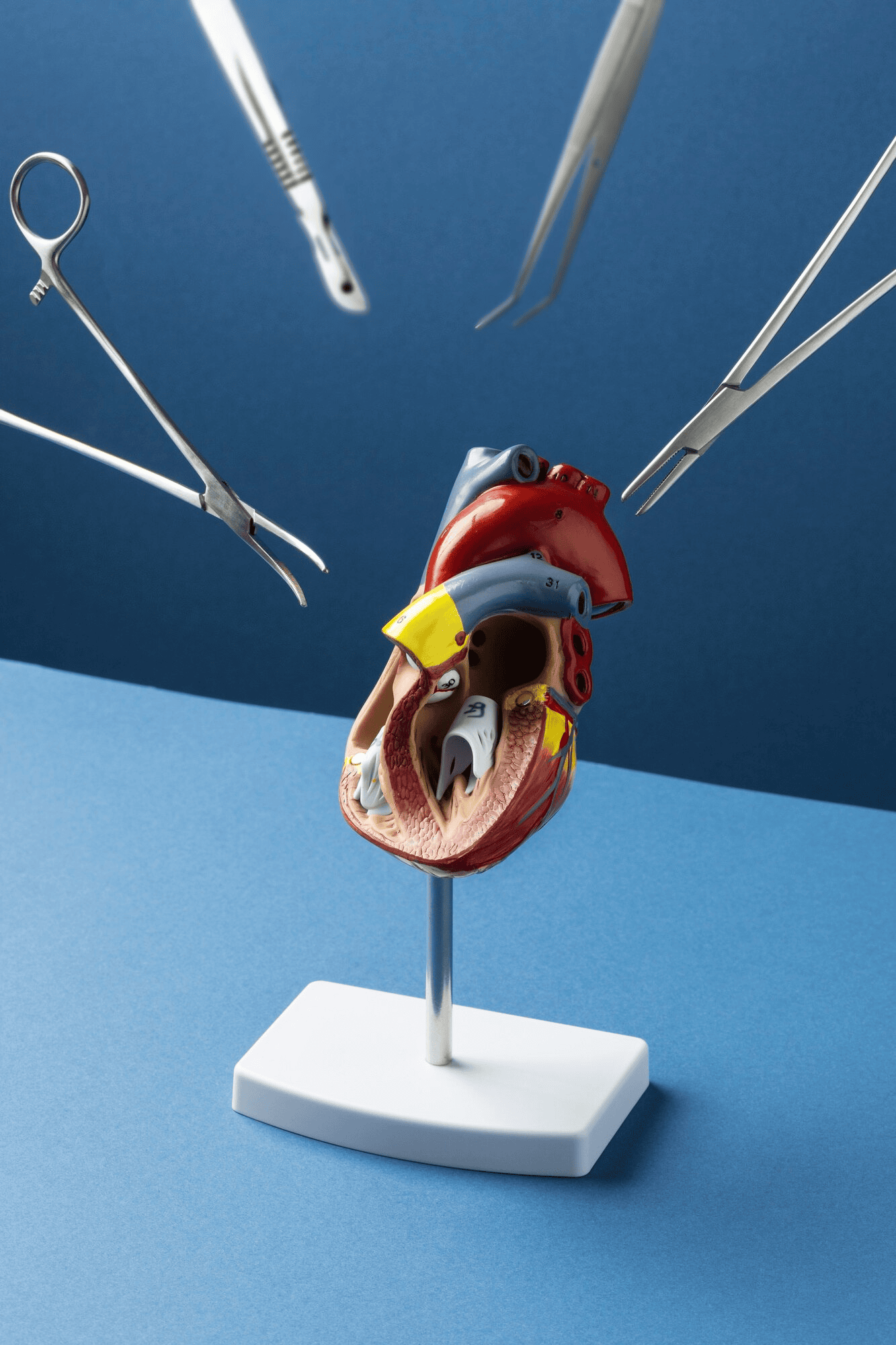 cardiothoraric-overview-image.png