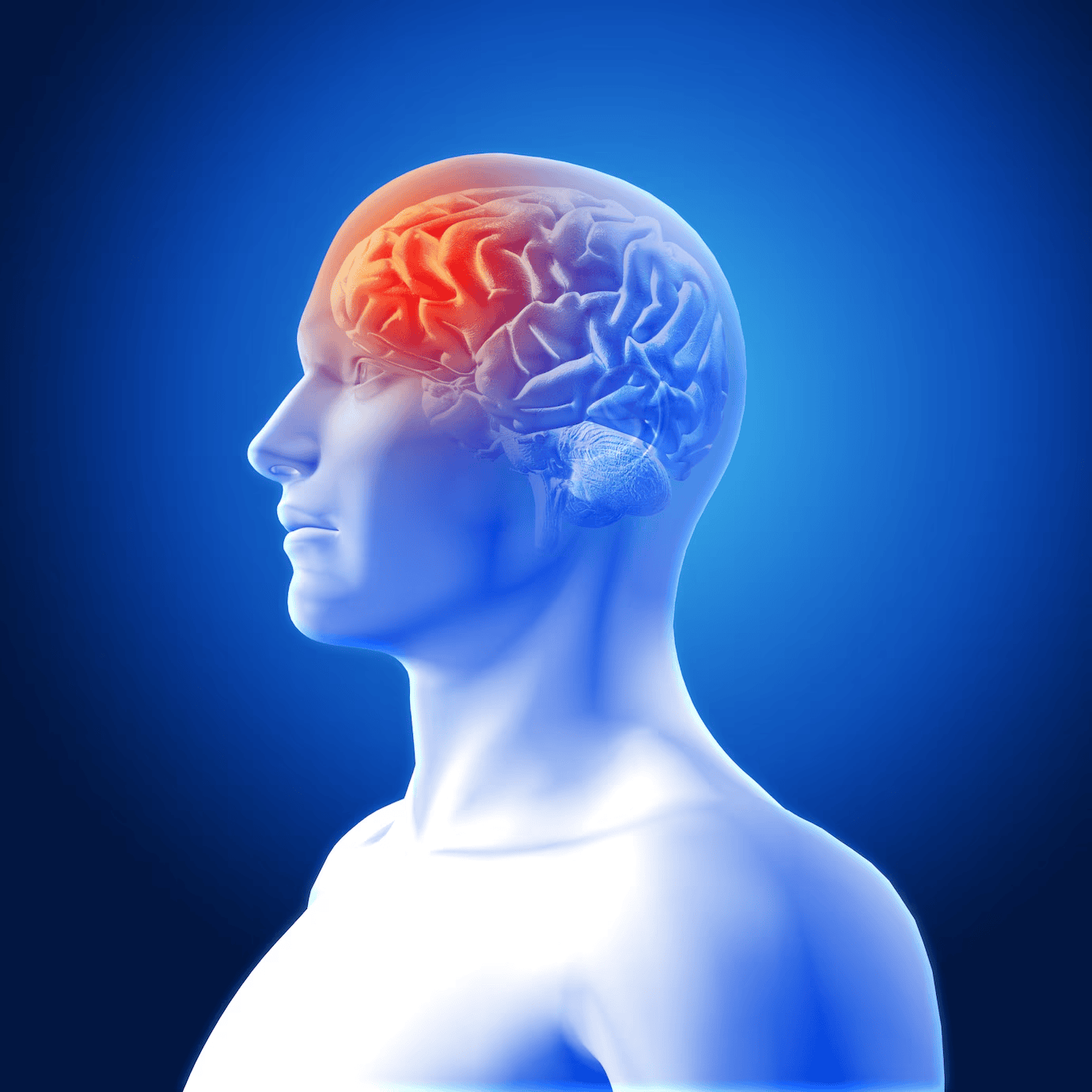 overview-image-neuro.png