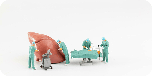 liver-overview.png