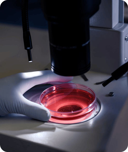Cytopathology