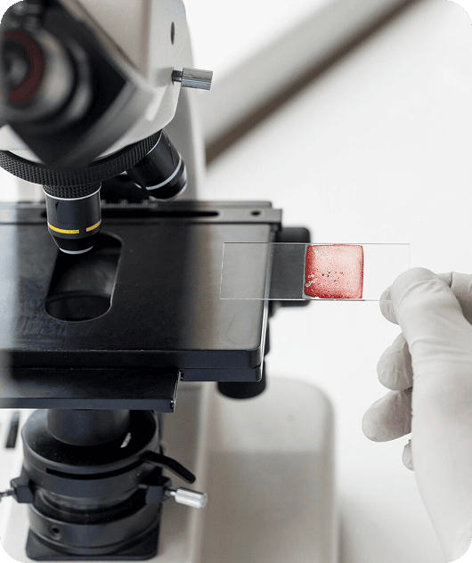 Histopathology
